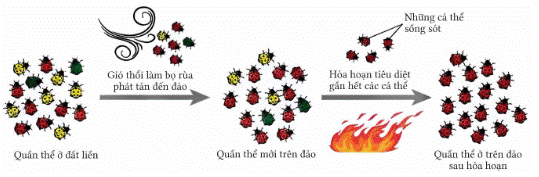 BÀI 17: HỌC THUYẾT TIẾN HÓA TỔNG HỢP HIỆN ĐẠI 