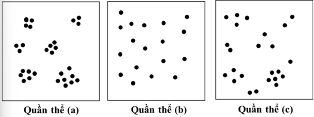 BÀI 21: QUẦN THỂ SINH VẬT(13 câu)A. CÂU HỎI TRẮC NGHIỆM1. NHẬN BIẾT (4 CÂU)Câu 1: Tỉ lệ giữa số lượng cá thể đực và số lượng cá thể cái trong quần thể là đặc trưng nào sau đây?A. Tăng trưởng của quần thể.                        B. Mật độ cá thể của quần thể.C. Tỉ lệ giới tính.                                         D. Kích thước của quần thể.Câu 2: Bồ nông xếp thành hàng bắt được nhiều cá hơn bồ nông đi kiếm ăn riêng rẽ. Mối quan hệ sinh thái giữa các con bồ nông này làA. cộng sinh.                   B. ức chế - cảm nhiễm.    C. hỗ trợ cùng loài.           D. kí sinh.Câu 3: Hiện tượng các cá thể trong quần thể sói tranh giành nhau thức ăn thể hiện mối quan hệ sinh tháiA. kí sinh.             B. cạnh tranh cùng loài.    C. hỗ trợ cùng loài.          D. cộng sinh.Câu 4: Khẳng định nào sau đây về nhân tố sinh thái là đúng? A. Nhân tố sinh thái là các yếu tố của môi trường có ảnh hưởng trực tiếp đến đời sống của sinh vật. B. Nhân tố sinh thái là các yếu tố vô sinh của môi trường có ảnh hưởng trực tiếp hoặc gián tiếp đến đời sống của sinh vật. C. Nhân tố sinh thái là các yếu tố của môi trường có ảnh hưởng trực tiếp hoặc gián tiếp đến đời sống của sinh vật. D. Nhân tố sinh thái là các yếu tố hữu sinh của môi trường có ảnh hưởng trực tiếp hoặc gián tiếp đến đời sống của sinh vật.2. THÔNG HIỂU (5 CÂU)Câu 1: Phát biểu nào sau đây về các đặc trưng cơ bản của quần thể là đúng?A. Các quần thể đều tăng trưởng theo tiềm năng sinh học.B. Kích thước của quần thể không thay đổi theo thời gian.C. Các quần thể thường có tỉ lệ giới tính là 2 : 1.D. Các quần thể có thể có mật độ các thể khác nhau.Câu 2: Phát biểu nào sau đây về quần thể sinh vật là không đúng? A. Quần thể sinh vật là tập hợp các cá thể cùng loài, cùng sinh sống trong một khoảng không gian xác định, vào một thời gian nhất định, có khả năng sinh sản và tạo thành những thế hệ mới. B. Quần thể là tập hợp các cá thể cùng loài, được hình thành qua một quá trình lịch sử, trong đó các cá thể gắn bó chặt chẽ với nhau và có khả năng sinh sản tạo ra thế hệ mới. C. Quần thể là các cá thể cùng loài, tụ tập một cách ngẫu nhiên thành một nhóm và có khả năng sinh sản tạo ra thế hệ mới. D. Quần thể là tập hợp các cá thể cùng loài, cùng sinh sống trong một khoảng không gian xác định, thích nghi với môi trường và có khả năng sinh sản tạo ra thế hệ mới.Câu 3: Trong những dấu hiệu sau, dấu hiệu nào không thể hiện mối quan hệ hỗ trợ giữa các cá thể trong quần thể? A. Sống theo đàn. B. Các cá thể đánh nhau. C. Chim đầu đàn bay đầu tiên. D. Sự quần tụ của các cá thể động vật khi thời tiết lạnh.Câu 4: Phát biểu nào sau đây về kích thước của quần thể là không đúng? A. Kích thước quần thể của một quần thể xác định thường không đổi theo thời gian. B. Kích thước quần thể là tổng số cá thể phân bố trong khoảng không gian mà quần thể sinh sống. C. Kích thước quần thể thường dao động trong khoảng tối thiểu tới tối đa. D. Quần thể sẽ suy thoái và tuyệt chủng nếu kích thước quần thể nhỏ hơn kích thước tối thiểu.Câu 5: Phát biểu nào dưới đây về nhóm tuổi của quần thể là không đúng? A. Khi sắp xếp các nhóm tuổi kế tiếp nhau (từ già đến non) thì sẽ được hình tháp tuổi của quần thể. B. Hình tháp tuổi cho thấy xu thế phát triển của quần thể, dựa vào đó người ta có kế hoạch bảo vệ và khai thác tài nguyên sinh vật hiệu quả. C. Nhóm tuổi của quần thể được phân chia dựa vào thời gian sống của chúng, tuổi có thể được tính theo giờ, ngày, tháng, năm,... D. Quần thể sinh vật thường gồm ba nhóm tuổi: nhóm tuổi trước sinh sản, nhóm tuổi sinh sản và nhóm tuổi sau sinh sản.3. VẬN DỤNG (2 CÂU)................................................................................................................................. B. CÂU HỎI TRẮC NGHIỆM ĐÚNG - SAI.