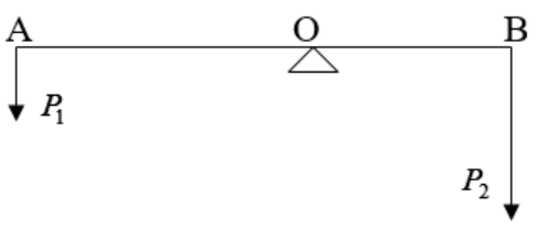 BÀI 19: ĐÒN BẨY VÀ ỨNG DỤNG