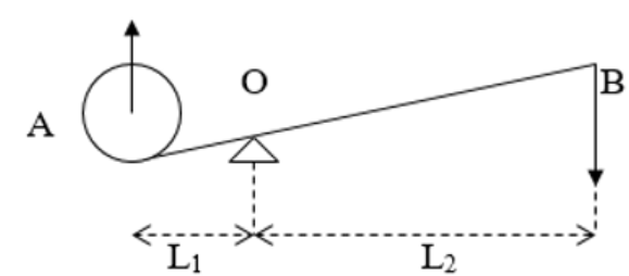 BÀI 19: ĐÒN BẨY VÀ ỨNG DỤNG