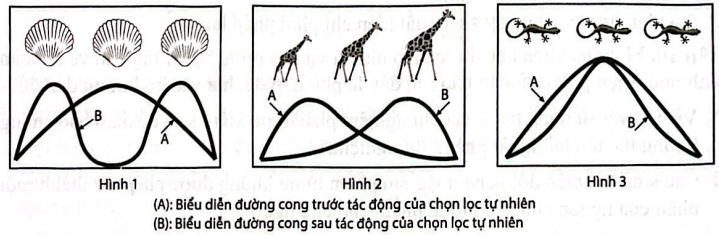  SINH HỌC 12 – KẾT NỐI TRI THỨCNăng lựcCấp độ tư duyPHẦN IPHẦN IIPHẦN IIIBiếtHiểuVận dụngBiếtHiểu Vận dụngBiếtHiểuVận dụng1. Nhận thức sinh học102214 21 2. Tìm hiểu thế giới sống 11281 113. Vận dụng kiến thức kĩ năng đã học 11   1  Tổng1044312132145%40%15% TRƯỜNG THPT .........BẢN ĐẶC TẢ KĨ THUẬT ĐỀ KIỂM TRA GIỮA HỌC KÌ II (2024 – 2025)