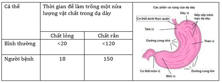 BÀI 8. DINH DƯỠNG VÀ TIÊU HÓA Ở ĐỘNG VẬT