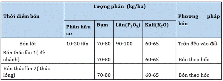 BÀI 3. NHÂN TỐ ẢNH HƯỞNG ĐẾN TRAO ĐỔI NƯỚC VÀ KHOÁNG Ở THỰC VẬT