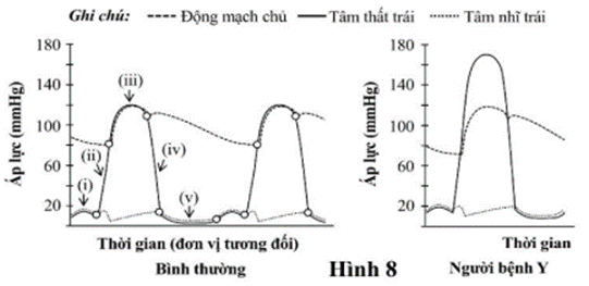 BÀI 8. HỆ TUẦN HOÀN Ở ĐỘNG VẬT