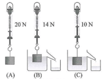  TÁC DỤNG CỦA CHẤT LỎNG LÊN VẬT ĐẶT TRONG NÓ