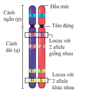 Tech12h