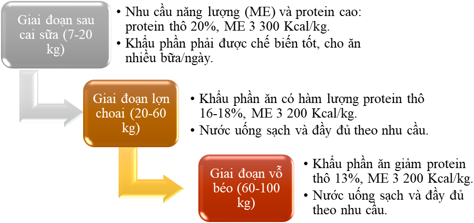 BÀI 18: QUY TRÌNH NUÔI DƯỠNG, CHĂM SÓC MỘT SỐ LOẠI VẬT NUÔI