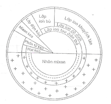 BÀI 3. GIỚI THIỆU VỀ ĐẤT TRỐNG