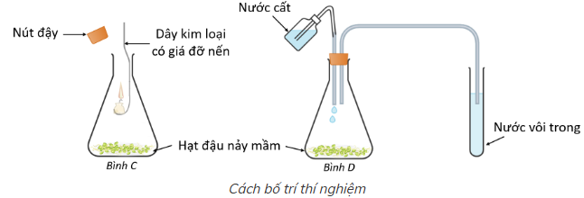 Tech12h