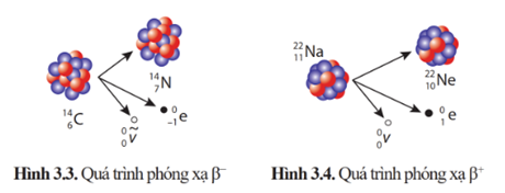  PHÓNG XẠ