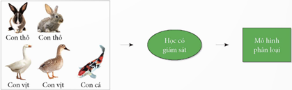 BÀI F14: HỌC MÁY