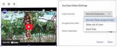  CHÈN YOUTUBE, CALENDAR, DRIVE VÀ COLLAPSIBLE GROUP