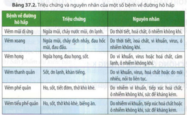 BÀI 37: HỆ HÔ HẤP Ở NGƯỜI