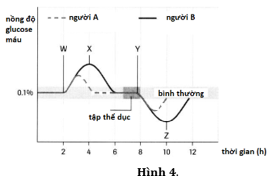 BÀI 40: ĐIỀU HÒA MÔI TRƯỜNG TRONG CƠ THỂ