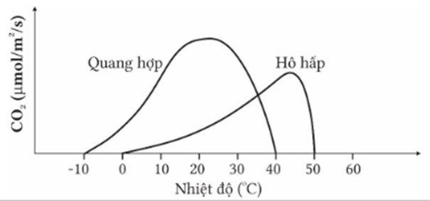 BÀI 45: MÔI TRƯỜNG VÀ CÁC NHÂN TỐ SINH THÁI