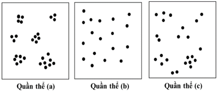 BÀI 46: QUẦN THỂ SINH VẬT