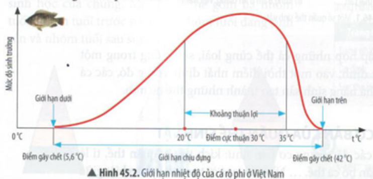 BÀI 45: MÔI TRƯỜNG VÀ CÁC NHÂN TỐ SINH THÁI