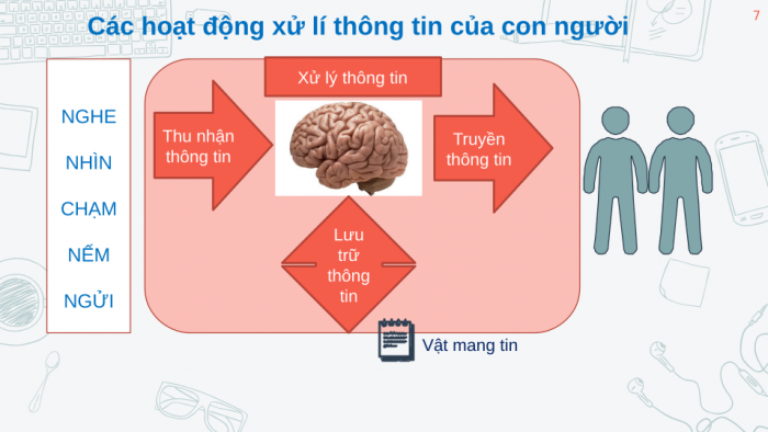 Giáo án powerpoint tin học 6 kết nối tri thức