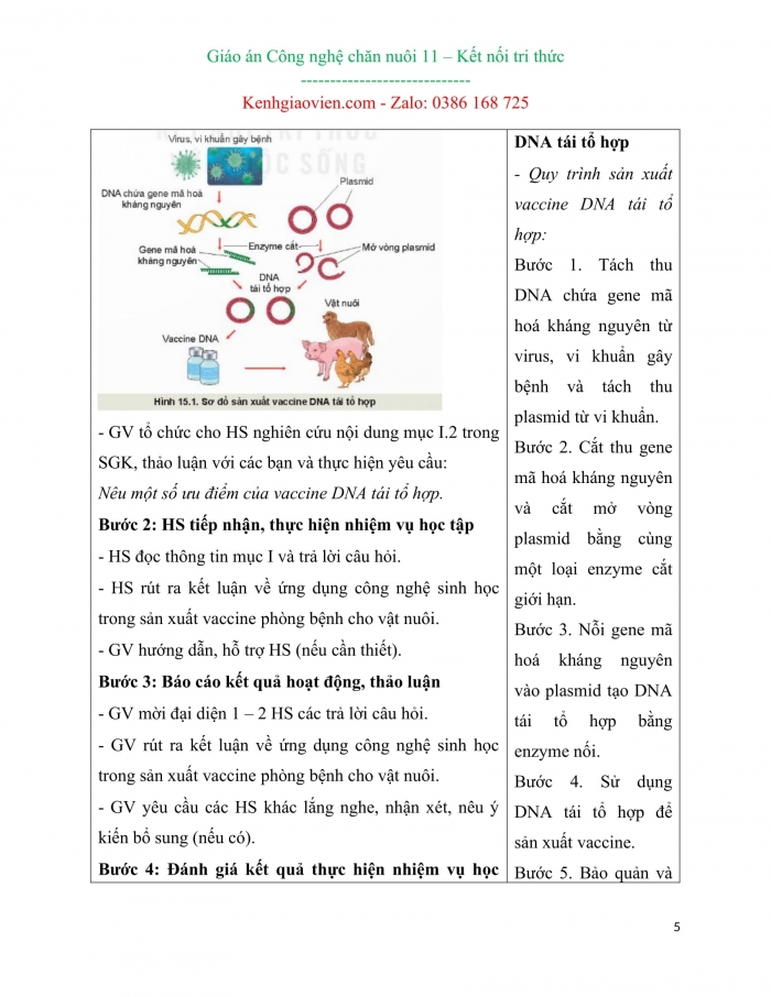 Giáo án kì 2 Công nghệ chăn nuôi 11 kết nối tri thức
