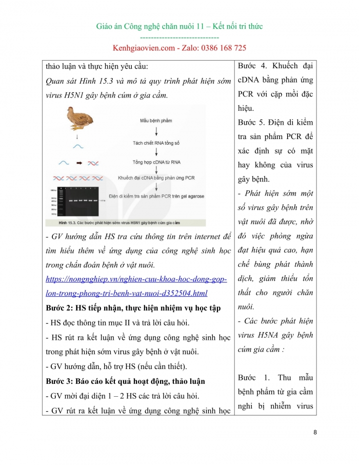Giáo án kì 2 Công nghệ chăn nuôi 11 kết nối tri thức