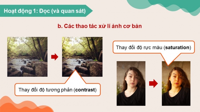 Giáo án điện tử Tin học 8 chân trời Bài 8b: Xử lí ảnh