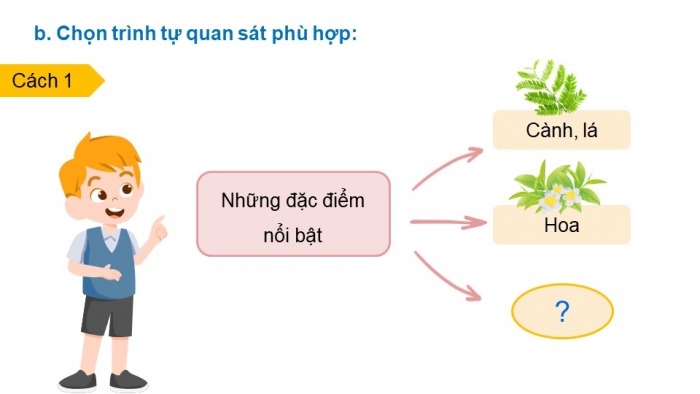 Giáo án điện tử Tiếng Việt 4 chân trời CĐ 5 Bài 2 Viết: Quan sát, tìm ý cho bài văn miêu tả cây cối