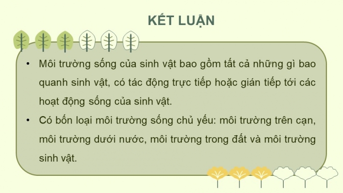 Giáo án điện tử KHTN 8 cánh diều Bài 38: Môi trường và các nhân tố sinh thái