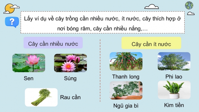 Giáo án điện tử Khoa học 4 kết nối Bài 17: Chăm sóc cây trồng, vật nuôi