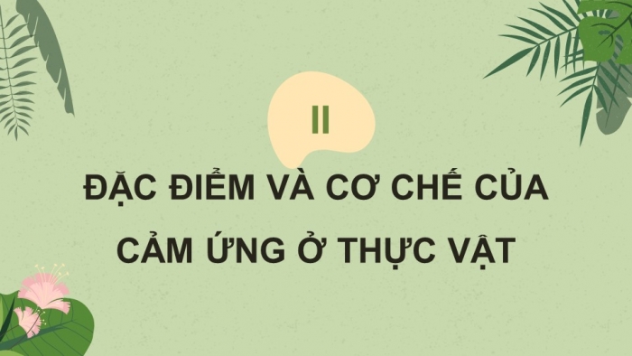 Giáo án điện tử Sinh học 11 cánh diều Bài 12: Cảm ứng ở thực vật (P1)