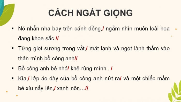 Giáo án điện tử Tiếng Việt 4 chân trời CĐ 5 Bài 1 Đọc: Cuộc phiêu lưu của bồ công anh