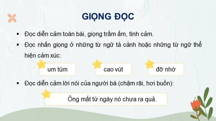 Giáo án điện tử Tiếng Việt 4 kết nối Bài 13 Đọc: Vườn của ông tôi