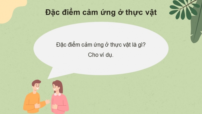 Giáo án điện tử Sinh học 11 cánh diều Bài 12: Cảm ứng ở thực vật (P1)