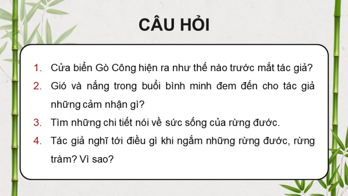 Giáo án điện tử Tiếng Việt 4 chân trời CĐ 6 Bài 8 Đọc: Về lại Gò Công