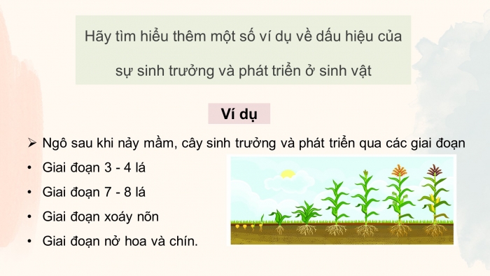 Giáo án điện tử Sinh học 11 chân trời Bài 19: Khái quát về sinh trưởng và phát triển ở sinh vật