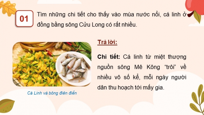 Giáo án điện tử Tiếng Việt 4 chân trời CĐ 5 Bài 6 Đọc: Món ngon mùa nước nổi
