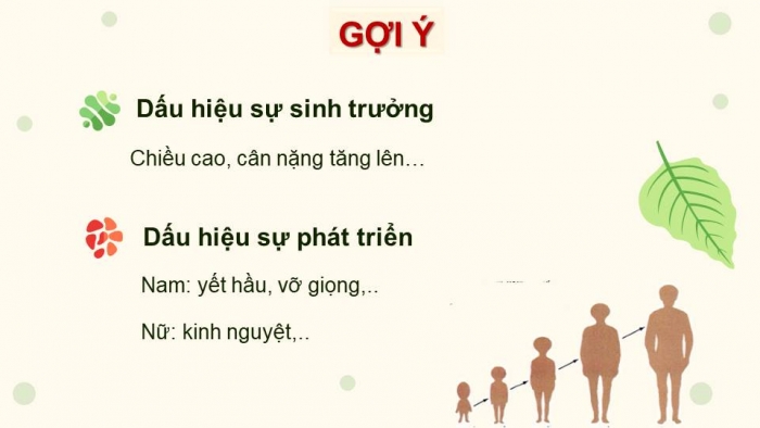 Giáo án điện tử Sinh học 11 cánh diều Bài 15: Khái quát về sinh trưởng và phát triển ở sinh vật