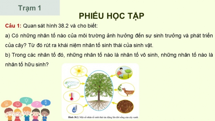 Giáo án điện tử KHTN 8 cánh diều Bài 38: Môi trường và các nhân tố sinh thái