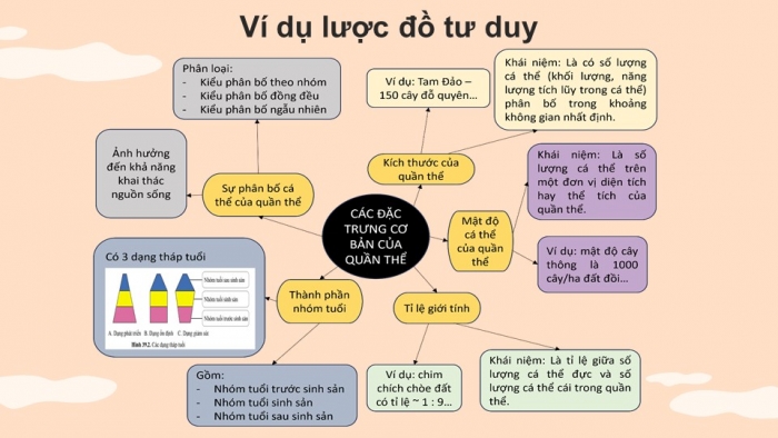 Giáo án điện tử KHTN 8 cánh diều Bài 39: Quần thể sinh vật