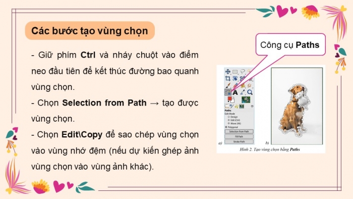 Giáo án điện tử Tin học 8 cánh diều Chủ đề E3 Bài 2: Vùng chọn và ứng dụng