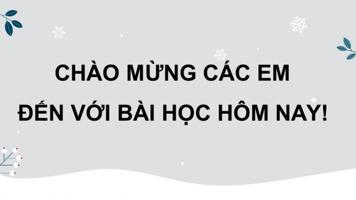 Giáo án điện tử Vật lí 11 cánh diều Chủ đề 3 Bài 2: Điện trường