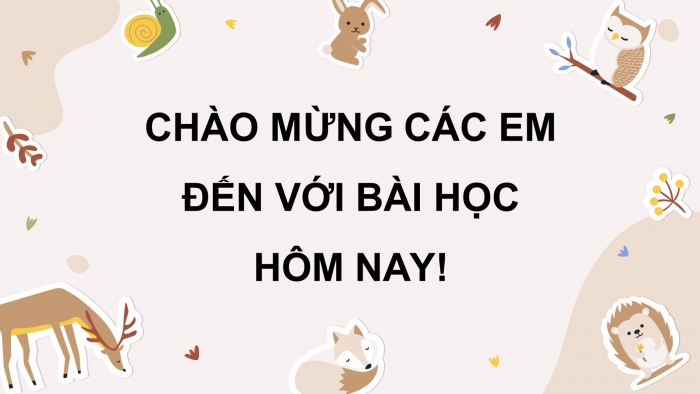 Giáo án điện tử Khoa học 4 chân trời Bài 18: Ôn tập chủ đề Thực vật và động vật