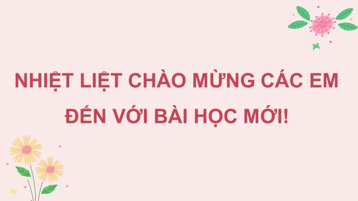 Giáo án điện tử Ngữ văn 8 kết nối Bài 6 : Thực hành tiếng Việt trang 14