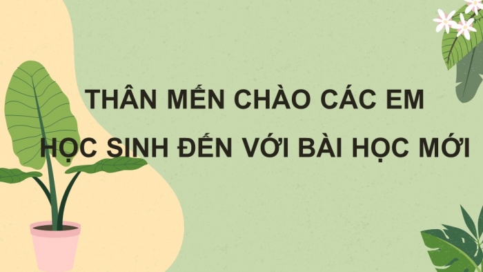 Giáo án điện tử Sinh học 11 cánh diều Bài 12: Cảm ứng ở thực vật (P1)