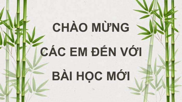 Giáo án điện tử Tiếng Việt 4 kết nối Bài 8 Đọc: Trên khóm tre đầu ngõ 