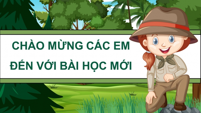 Giáo án điện tử Toán 4 kết nối Bài 52: Luyện tập chung