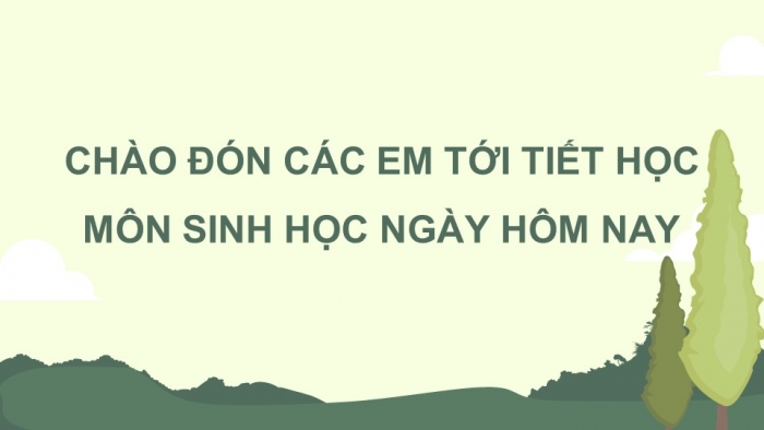 Giáo án điện tử KHTN 8 cánh diều Bài 38: Môi trường và các nhân tố sinh thái