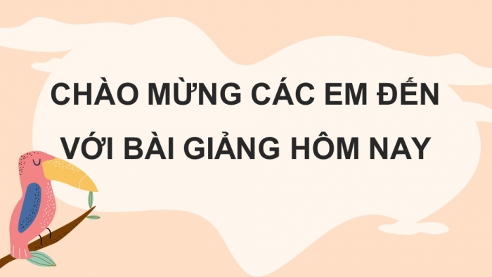 Giáo án điện tử KHTN 8 cánh diều Bài 39: Quần thể sinh vật