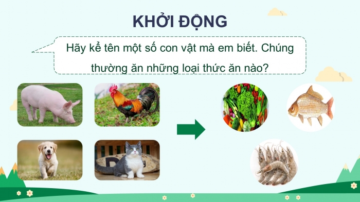 Giáo án điện tử Khoa học 4 kết nối Bài 16: Động vật cần gì để sống?