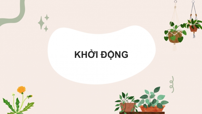 Giáo án điện tử Sinh học 11 chân trời: Ôn tập Chương 2