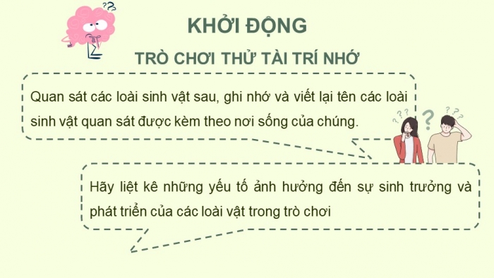 Giáo án điện tử KHTN 8 cánh diều Bài 38: Môi trường và các nhân tố sinh thái